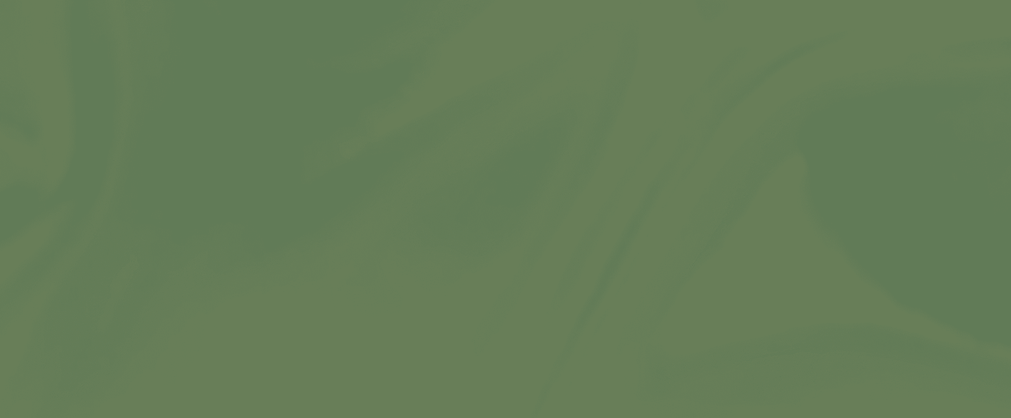 Soft green gradient background